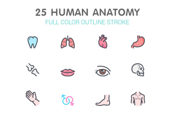 Human Anatomy Color Icons: A Versatile Design Resource