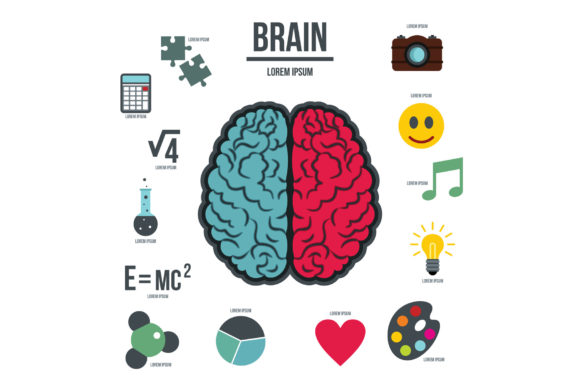 Human Brain Infographics Set, Flat Style: A Clear and Versatile Visual Tool for Complex Concepts