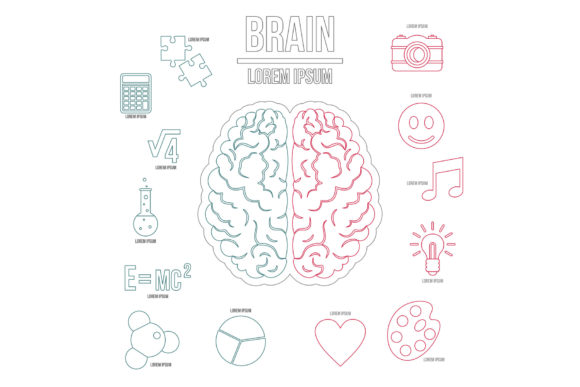 Human Brain Infographics Set: Visual Tools for Clear Communication